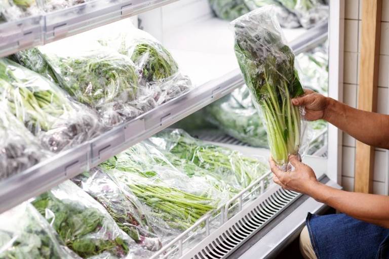 Bactérias Escherichia coli, principal indicador de contaminação fecal, podem estar presentes nos vegetais frescos higienizados (Freepik)