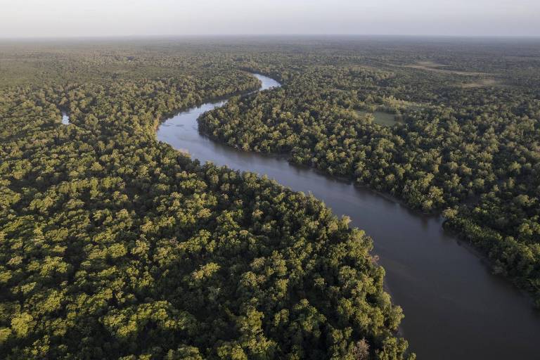 Amazonas (Getty Images via BBC)