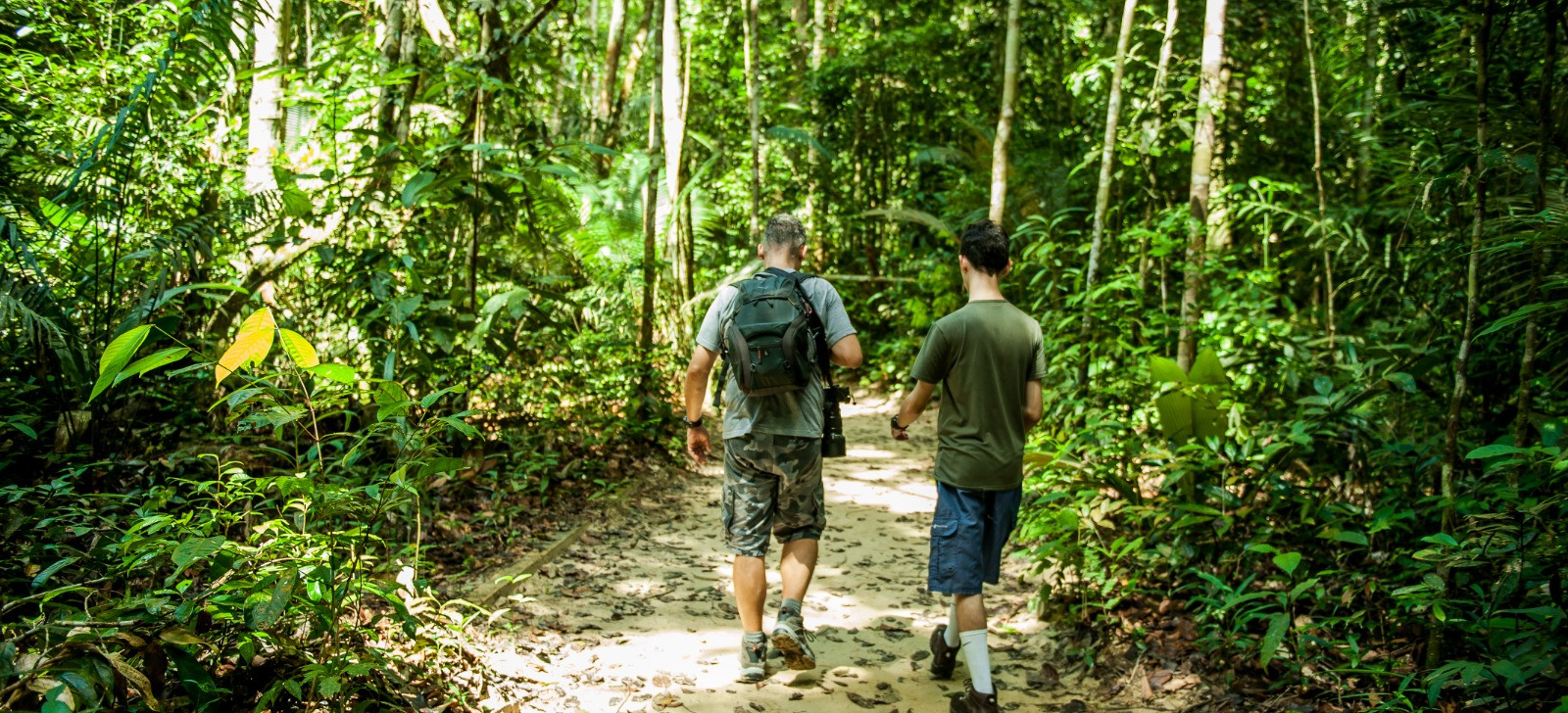 Demanda por destinos ecologicamente responsáveis cresce no mundo