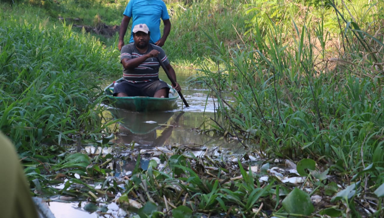 Entenda o caso da Prefeitura de Iranduba, no AM, que aterrou igarapé, matou espécies e desolou agricultores