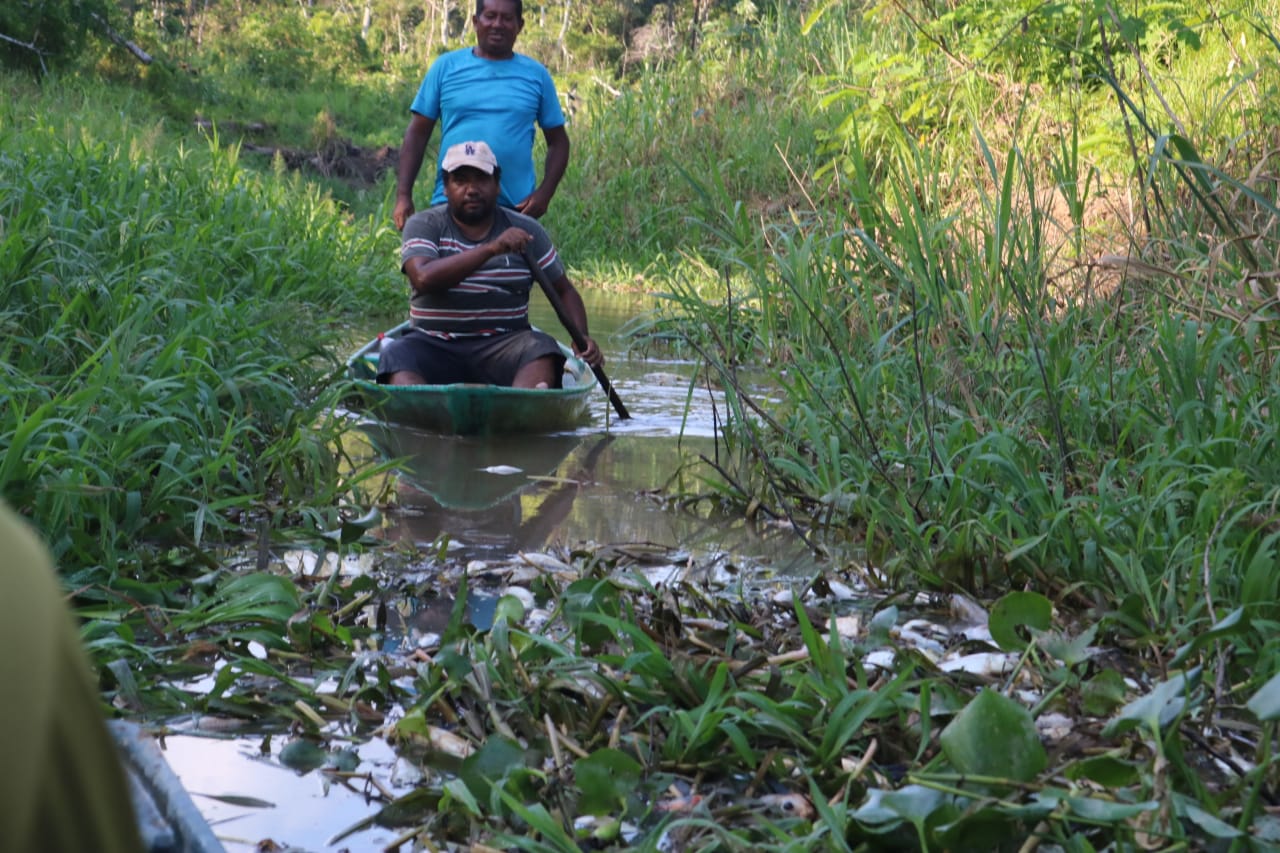 Entenda o caso da Prefeitura de Iranduba, no AM, que aterrou igarapé, matou espécies e desolou agricultores