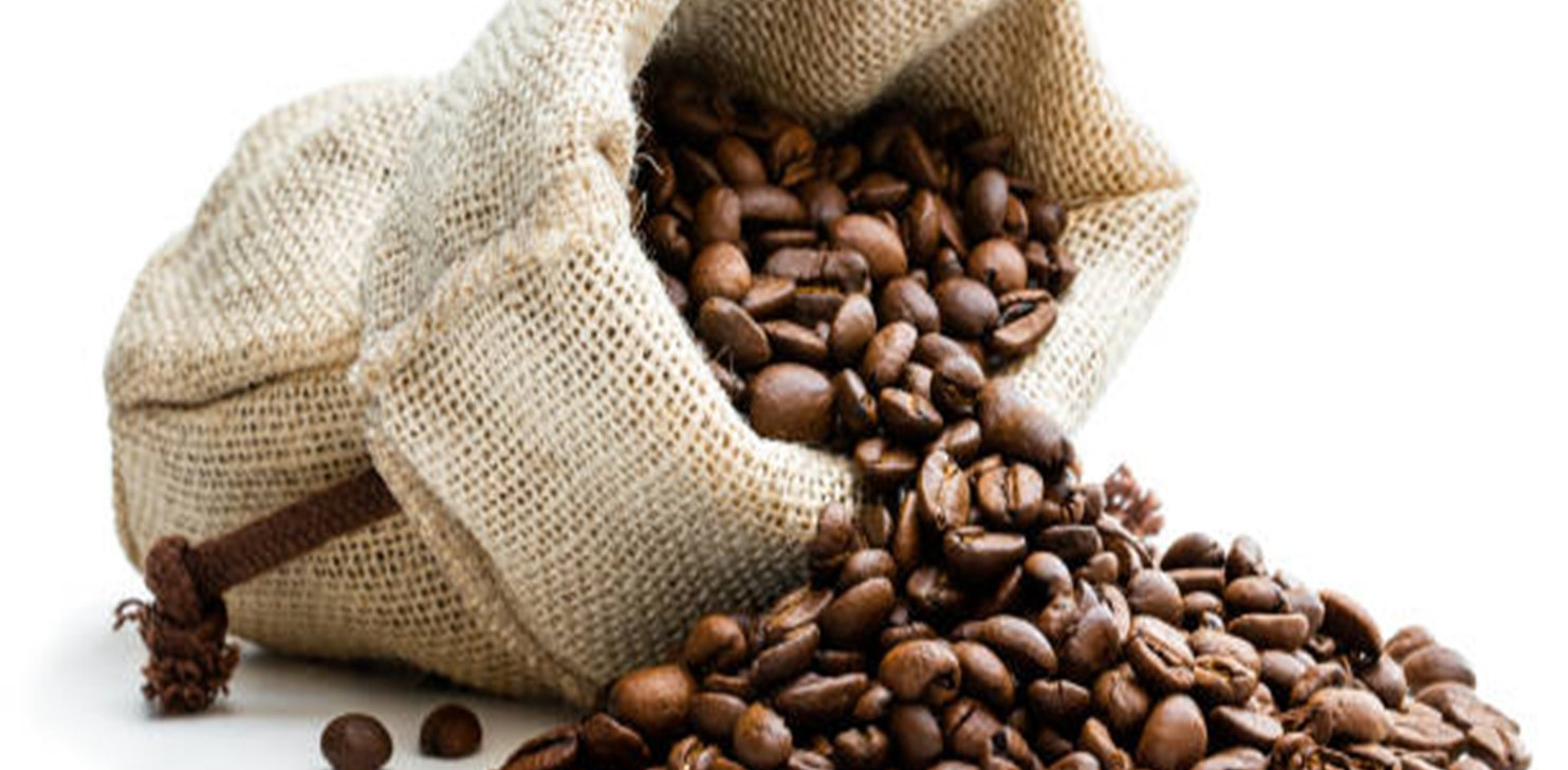 Rondônia vai sediar 8° Concurso de Qualidade e Sustentabilidade do Café