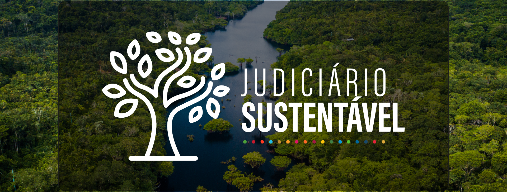 Estudo aponta caminhos para uma política judiciária mais eficaz na defesa ambiental