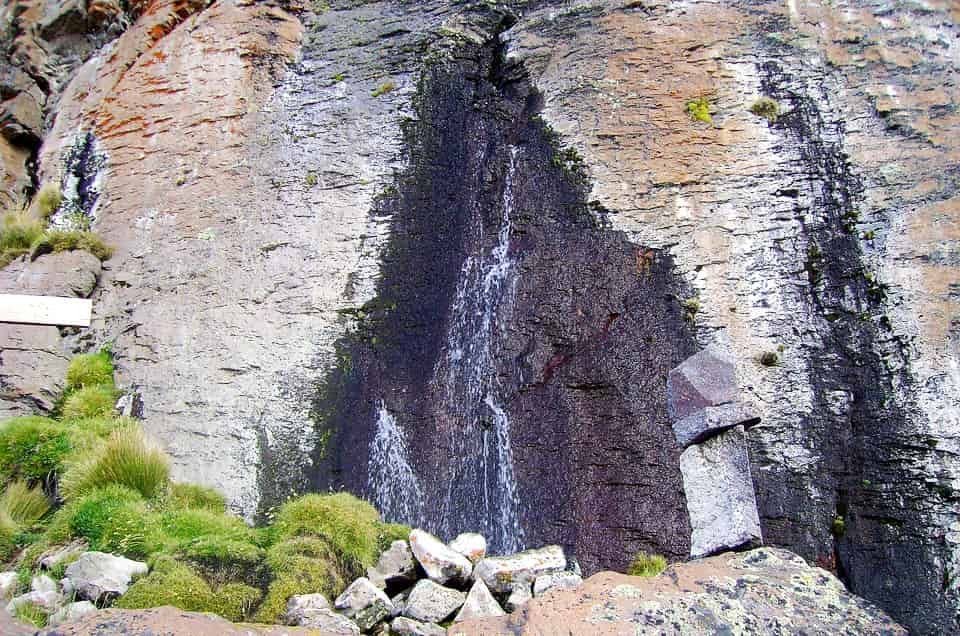 Lei incentiva ações de recuperação e proteção de vegetação em nascentes