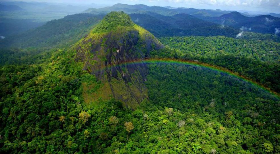 Parque Nacional do Tumucumaque (Reprodução/Icmbio)