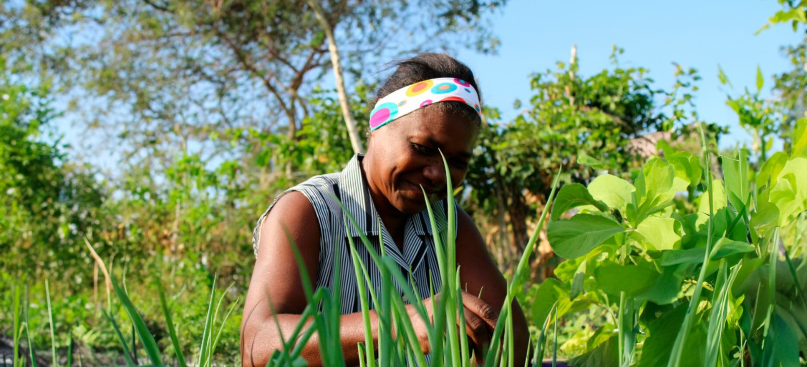 ‘As plantas sentem e retornam o bom trato’, diz Movimento dos Pequenos Agricultores