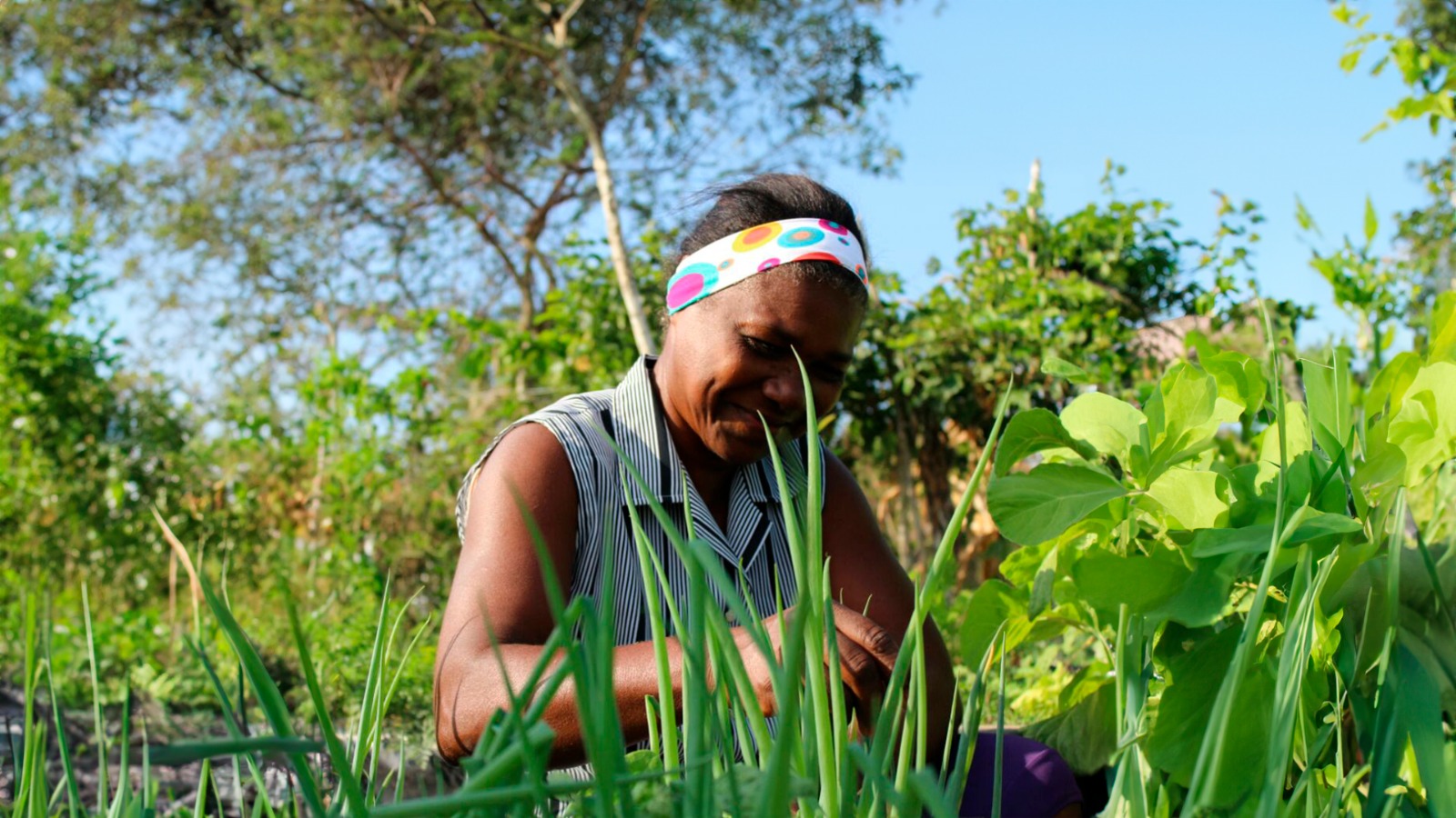 ‘As plantas sentem e retornam o bom trato’, diz Movimento dos Pequenos Agricultores