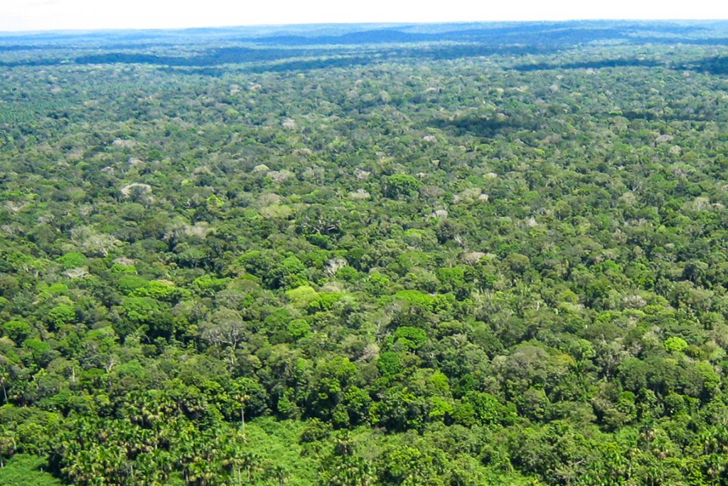 Unidade de Conservação (UC) do Tapajós abrange os municípios de Itaituba, Jacareacanga e Novo Progresso (Reprodução/ICMBio)