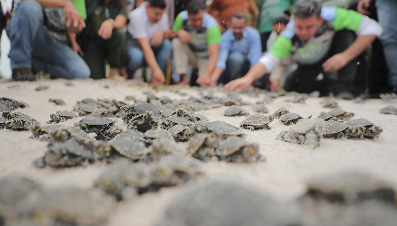 ‘Guardiões da Floresta’: Governo do AM libera R$7 mi para famílias de unidades de conservação