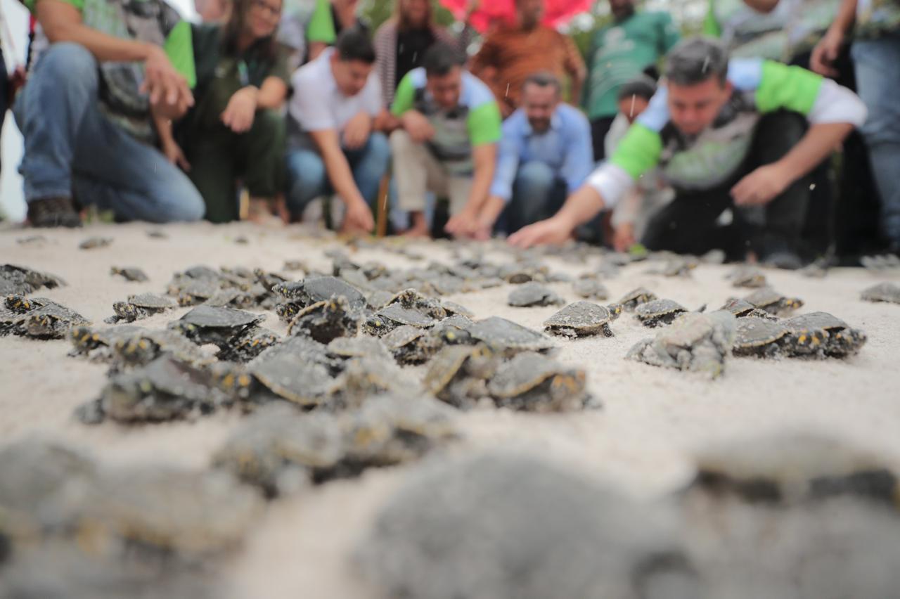 ‘Guardiões da Floresta’: Governo do AM libera R$7 mi para famílias de unidades de conservação