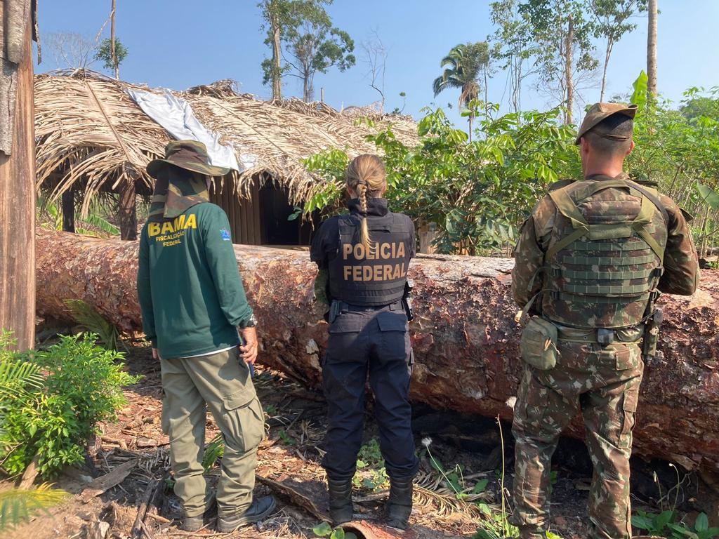 PF faz operação contra grupo que desmatou 700 hectares em TI de Rondônia