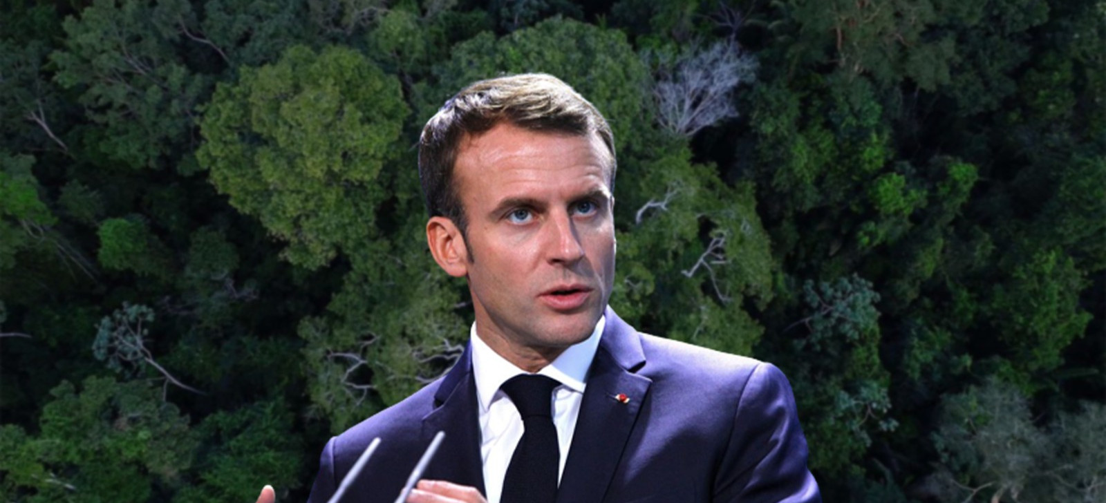 França na OTCA ameaça soberania de países amazônicos sobre a região, apontam analistas