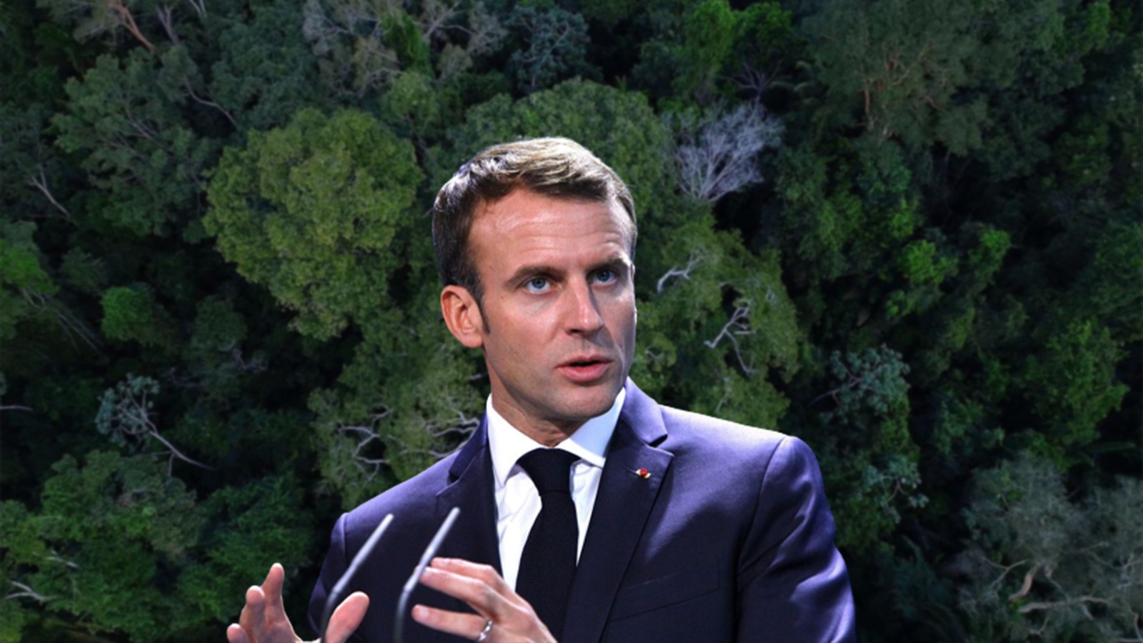 França na OTCA ameaça soberania de países amazônicos sobre a região, apontam analistas