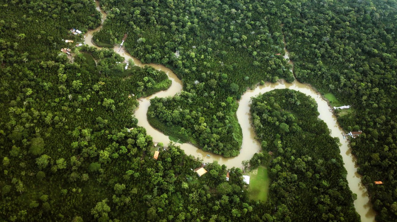 ‘Negócios para a natureza’: restauração de florestas brasileiras é destaque em painel internacional