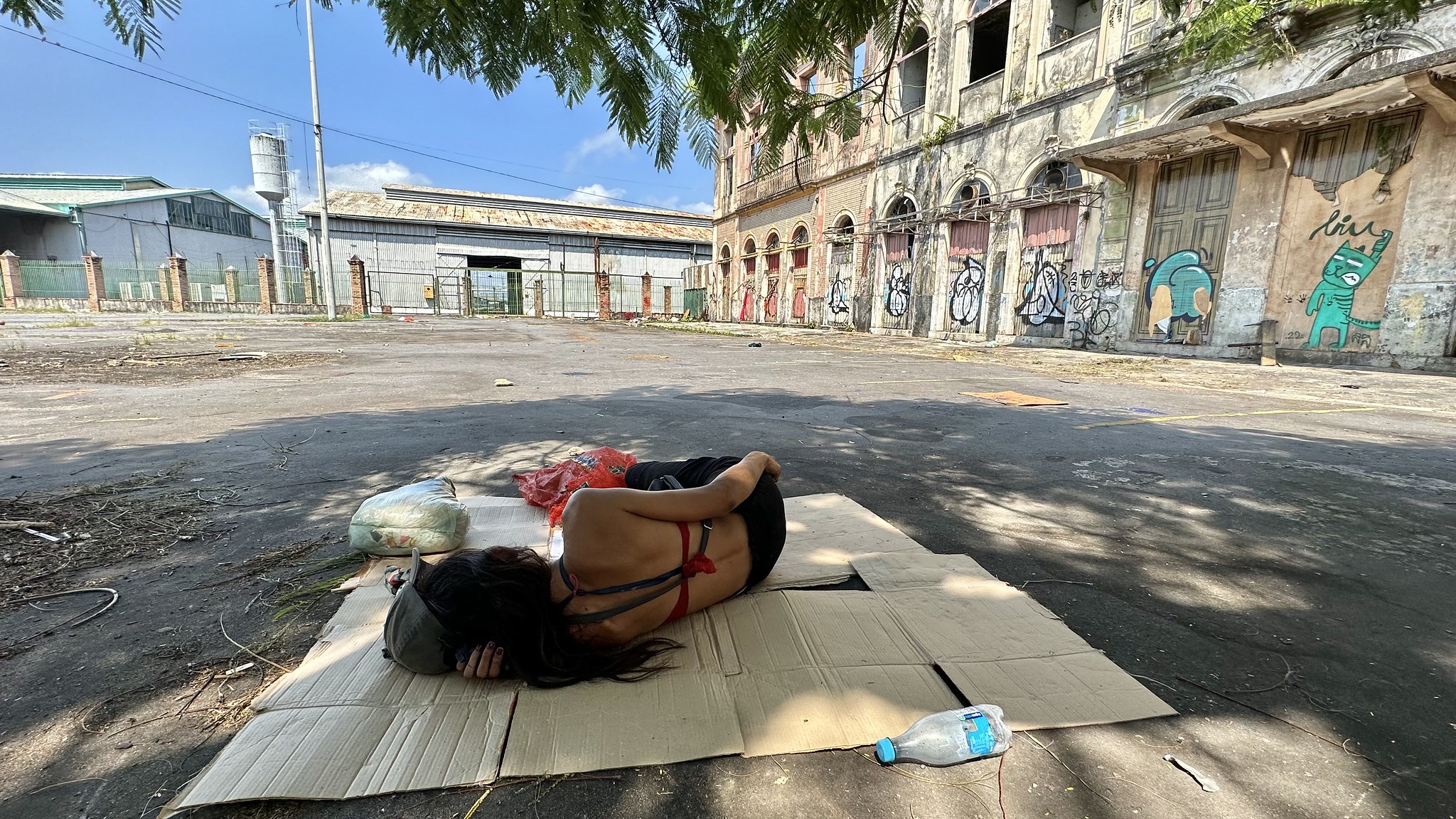 ‘Para ser independente, Brasil precisa ser menos desigual’, afirma historiador