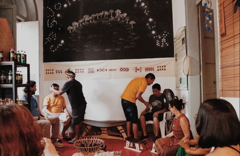 Conheça mais sobre a medicina ancestral amazônica