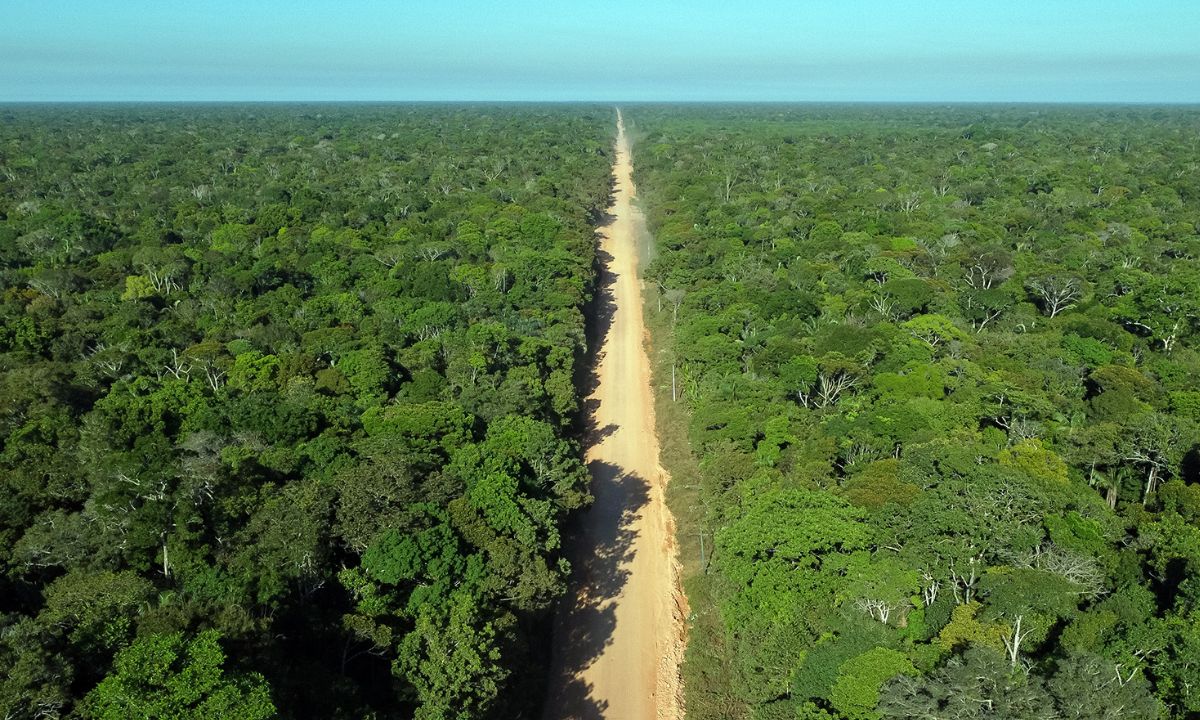 ‘Repavimentação do trecho do meio pode aumentar crimes ambientais’, aponta observatório