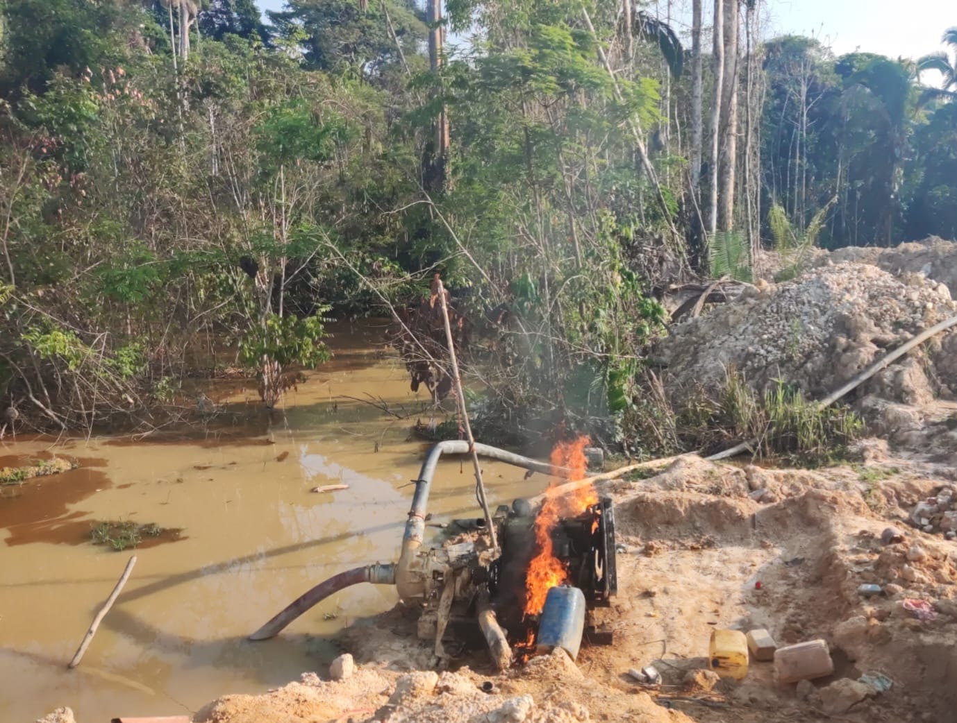 PF desmantela garimpos com cargas de madeira ilegal em duas TIs de Rondônia