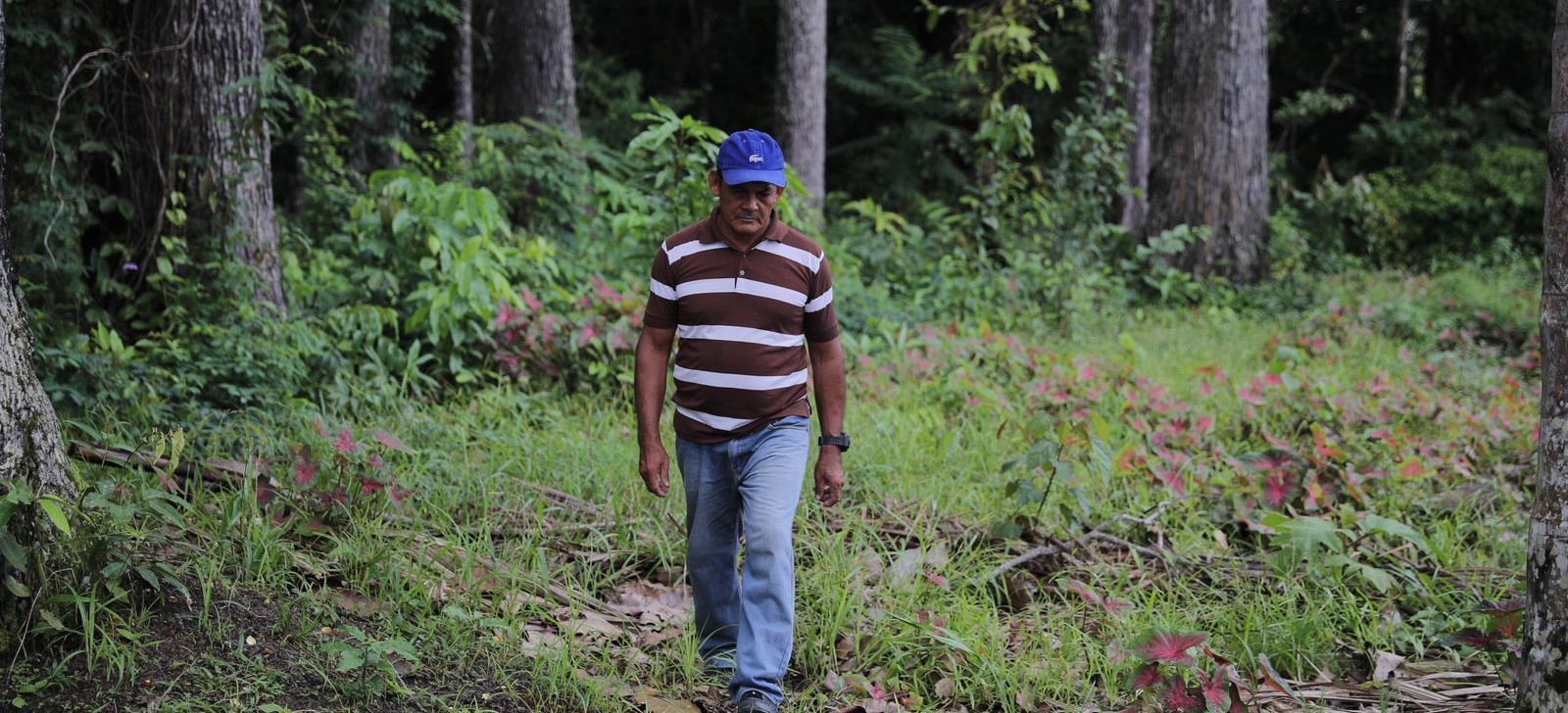 Dia da Amazônia é celebrado no dia 5 de setembro. (Diego Peres/Secom)