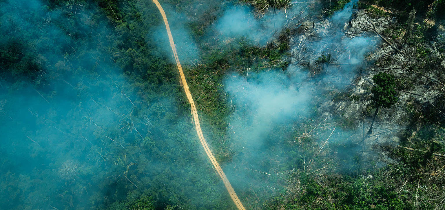 Sobrevoo realizado na Terra Indígena Ituna-Itatá em setembro de 2019. (Fábio Nascimento/Greenpeace)