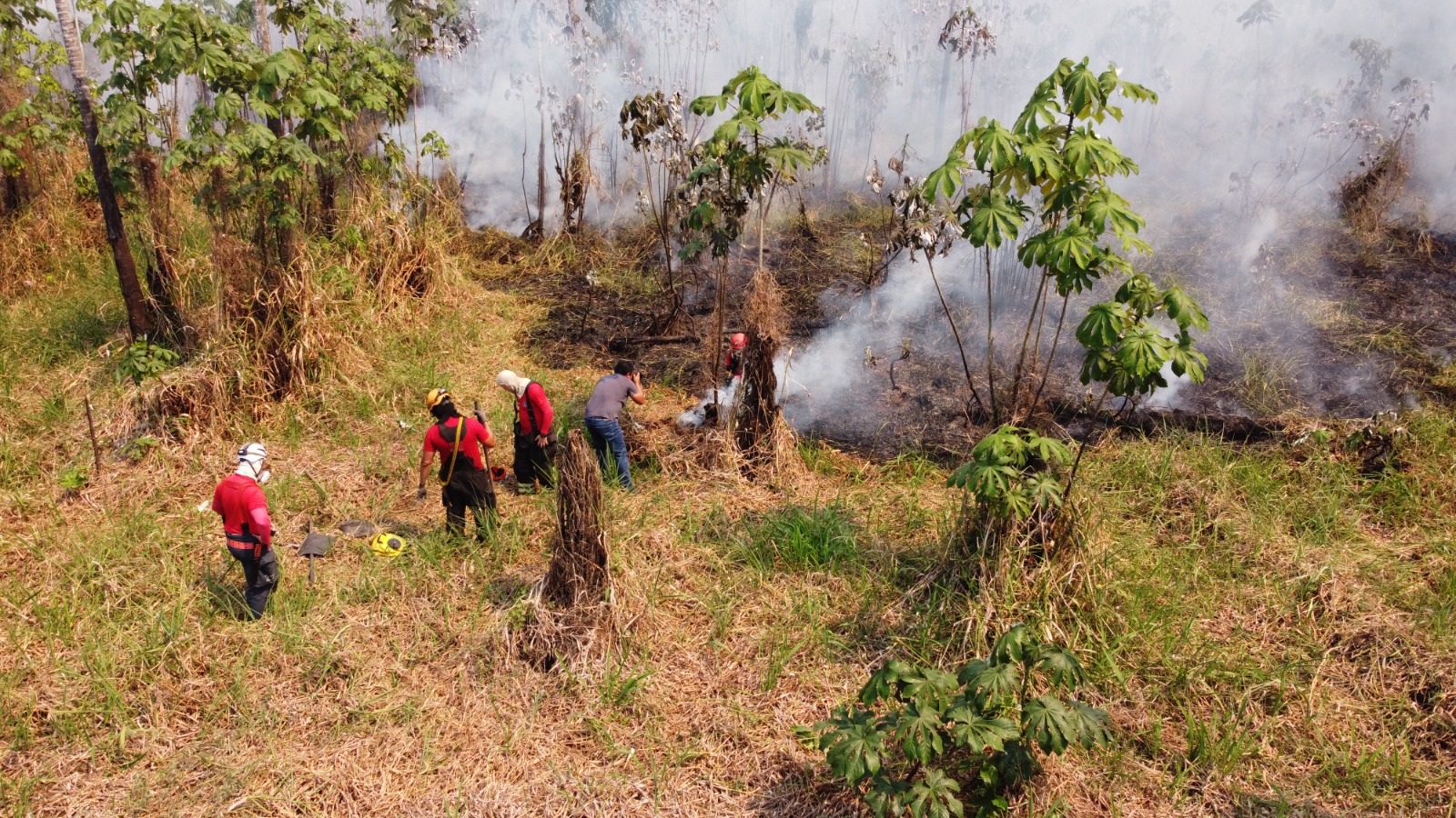 Fumaça em Manaus é resultado de queimadas no interior do AM