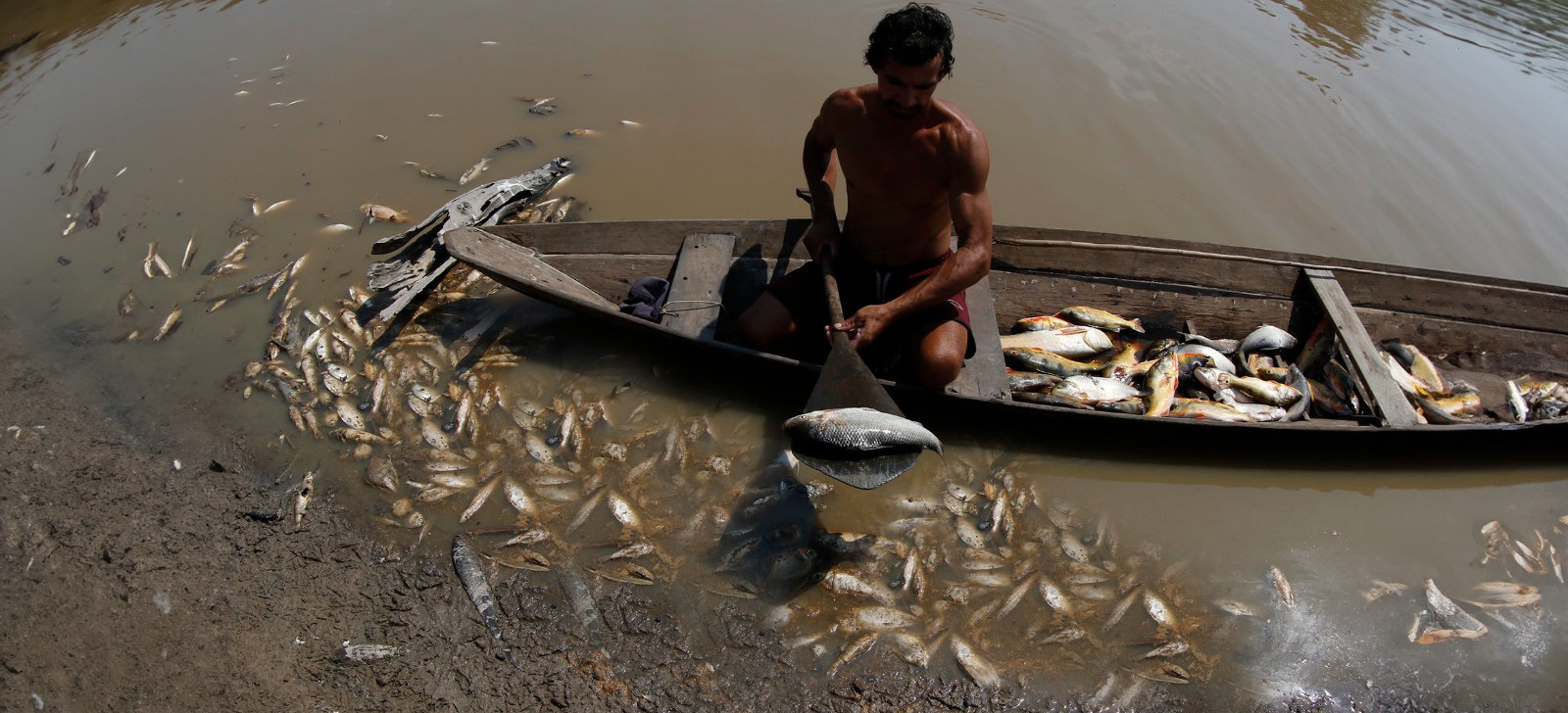 Ribeirinhos dizem que mortandade de peixes deixou água imprópria para consumo no AM