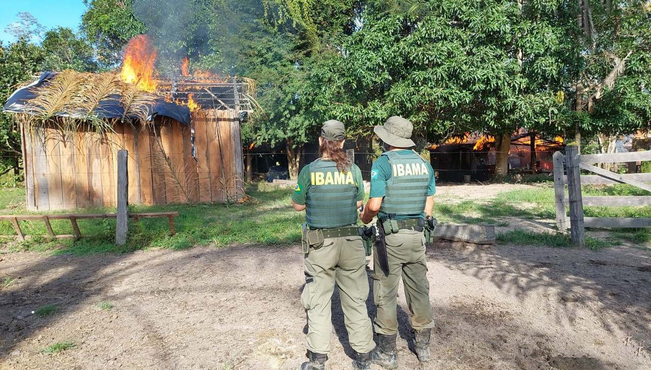 Prazo para desocupação de terras indígenas no Pará termina na terça-feira, 31