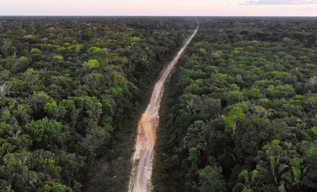 Pressão por BR-319 aumenta com seca na Amazônia e governo cria grupo de trabalho