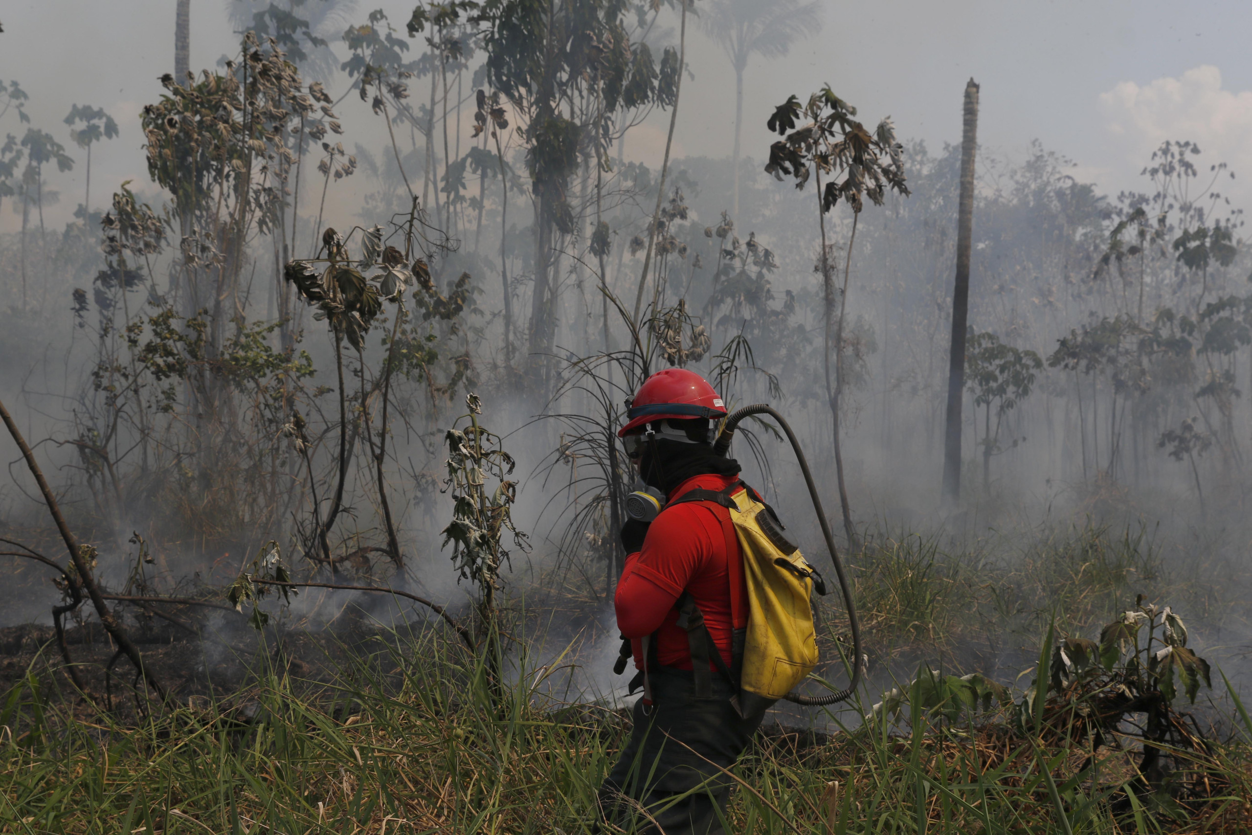 Focos de incêndio no AM somam 1,6 mil até os 12 primeiros dias de outubro