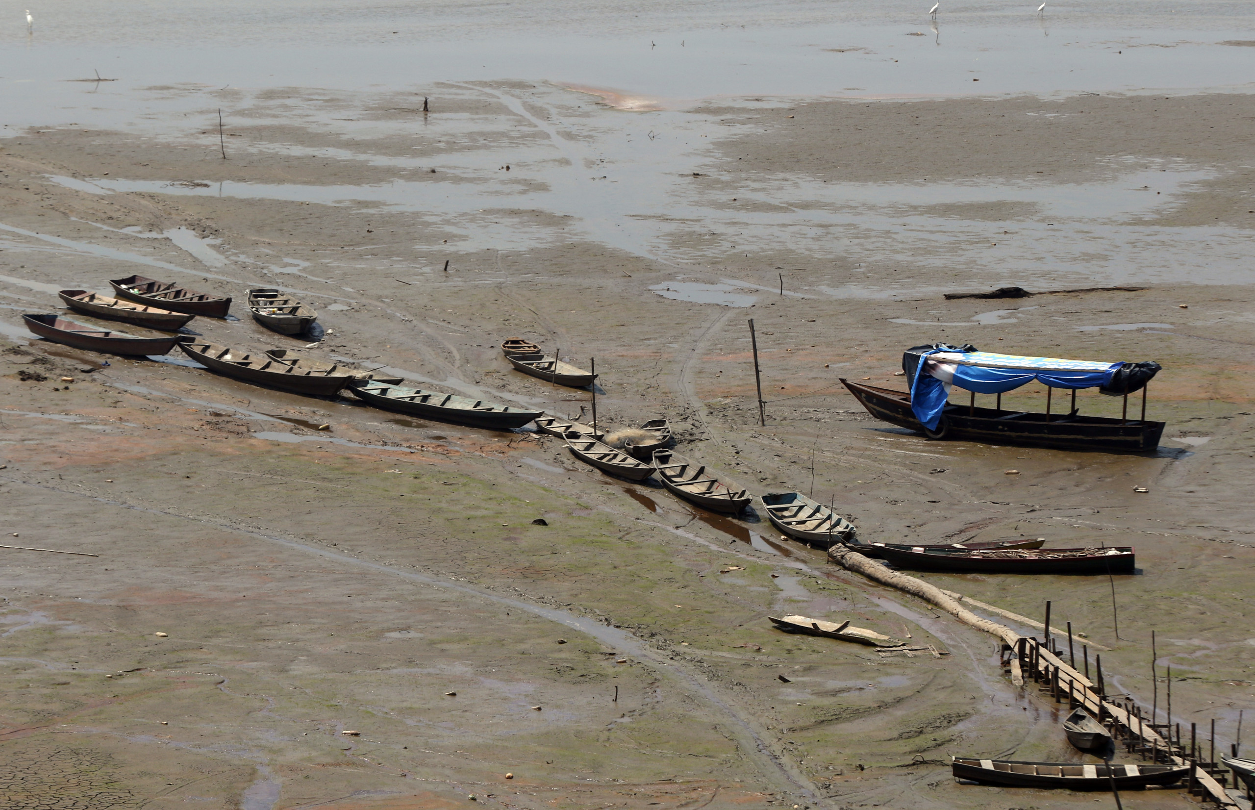 Indígenas pedem que governo federal declare emergência climática em meio à seca na Amazônia