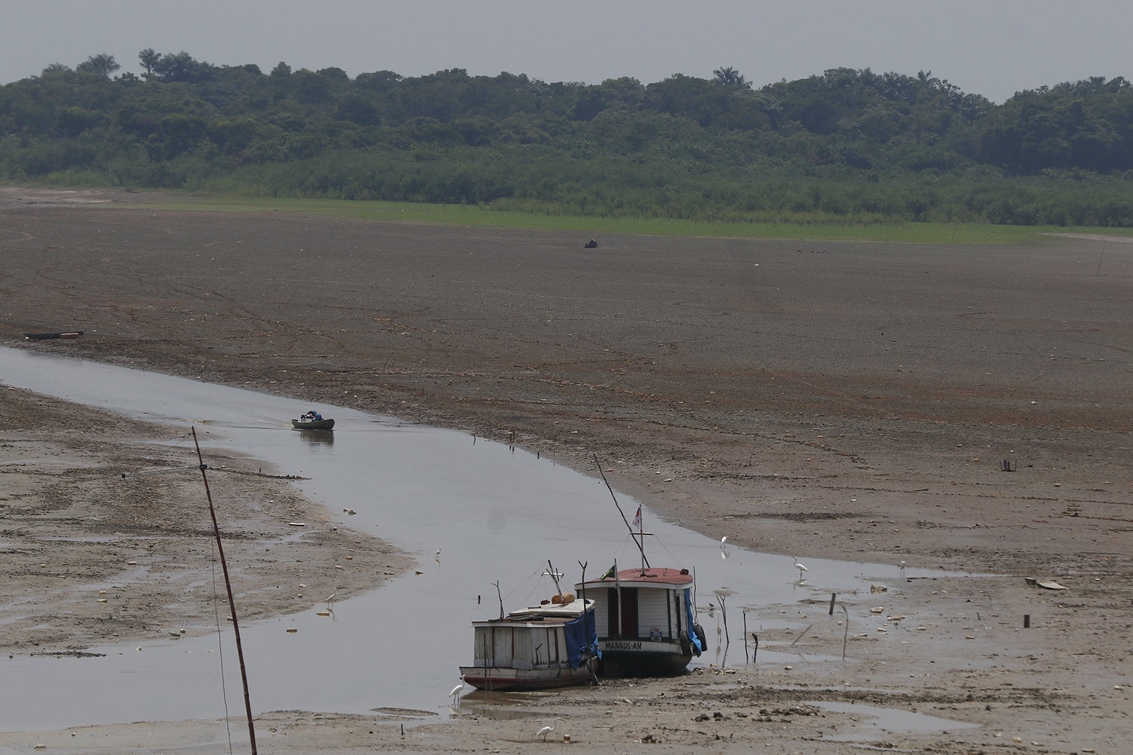 Estados da Amazônia enfrentam seca severa e rios atingem cotas históricas