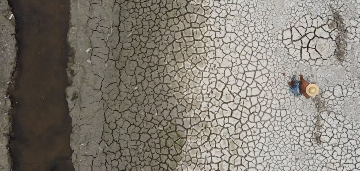 Estiagem no Amazonas afeta todos os 62 municípios, segundo a Defesa Civil do Estado