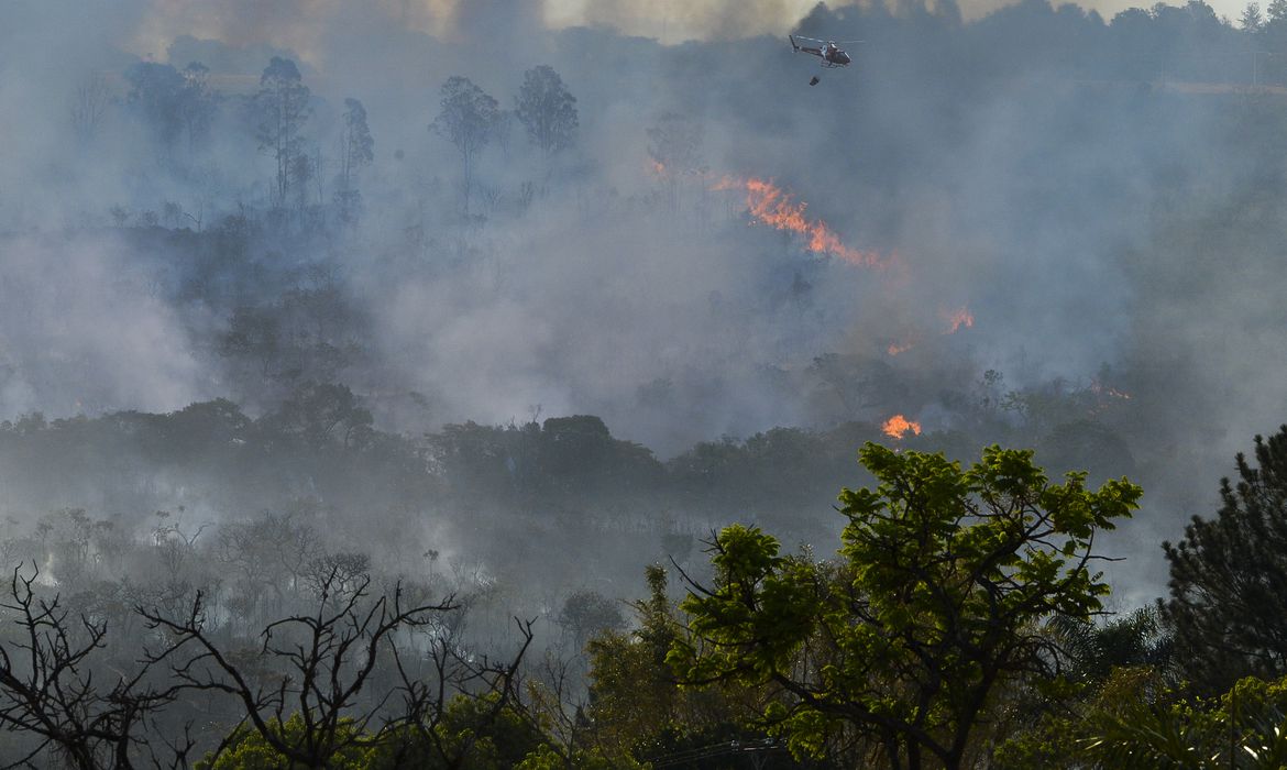 Pará registrou mais de 11 mil focos de queimada no mês de outubro (Valter Campanato/Agência Brasil)