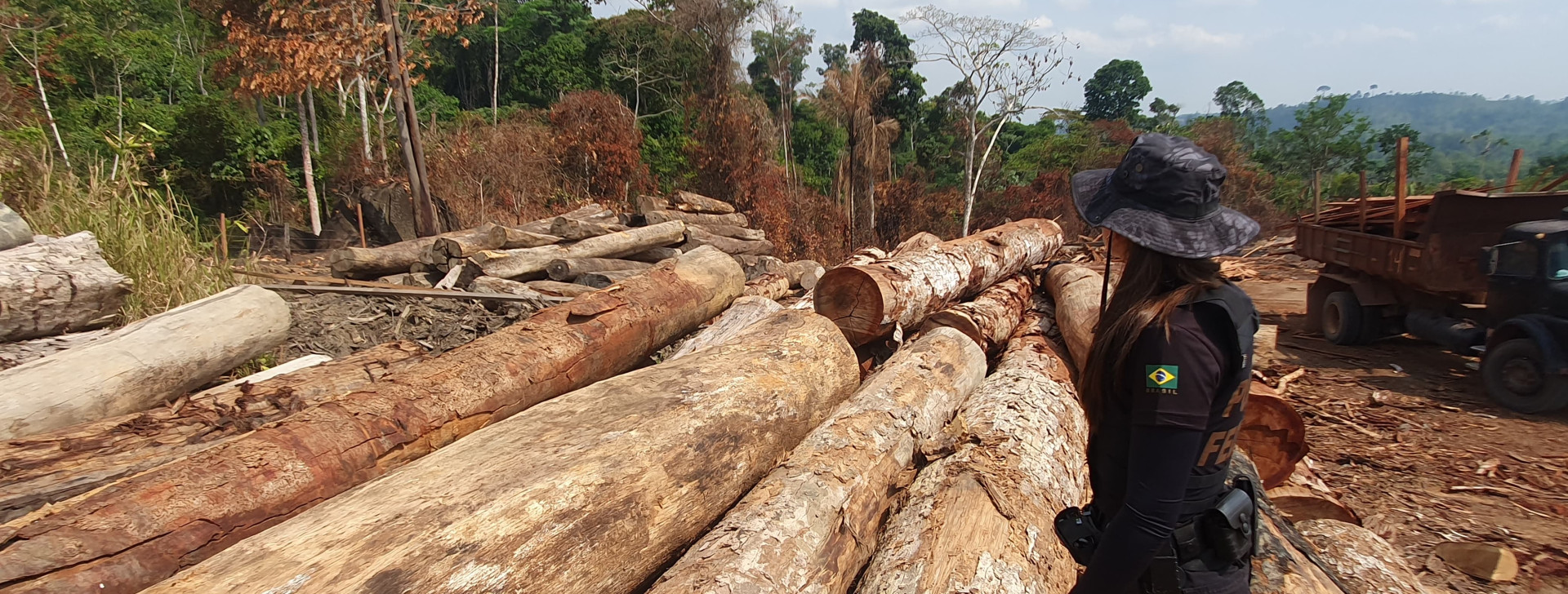 PF apreende mais de mil metros cúbicos de madeira ilegal no Oeste do Pará
