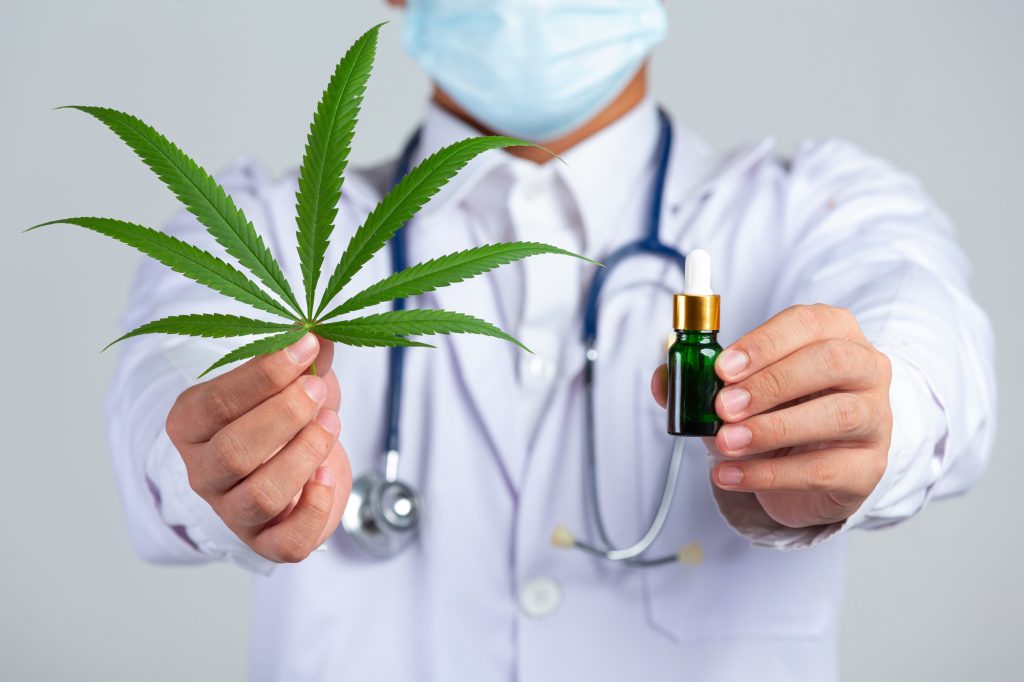 Cannabis Medicinal: um potencial alívio para sintomas da menopausa, aponta estudos