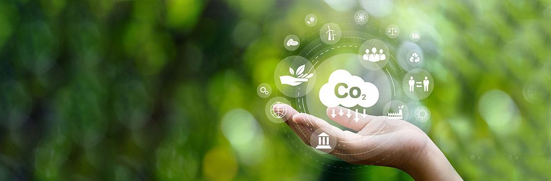 Comissão aprova em caráter terminativo projeto que regula mercado de carbono