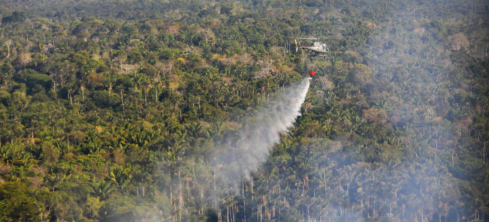 Experts in forest fires arrive in Amazonas to fight wildfires