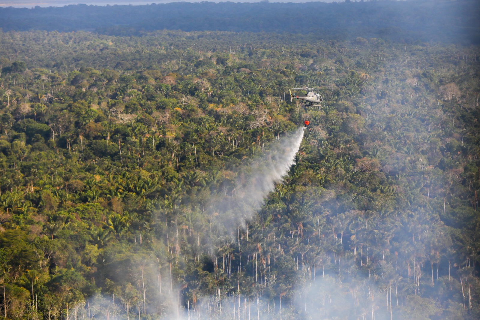 Experts in forest fires arrive in Amazonas to fight wildfires