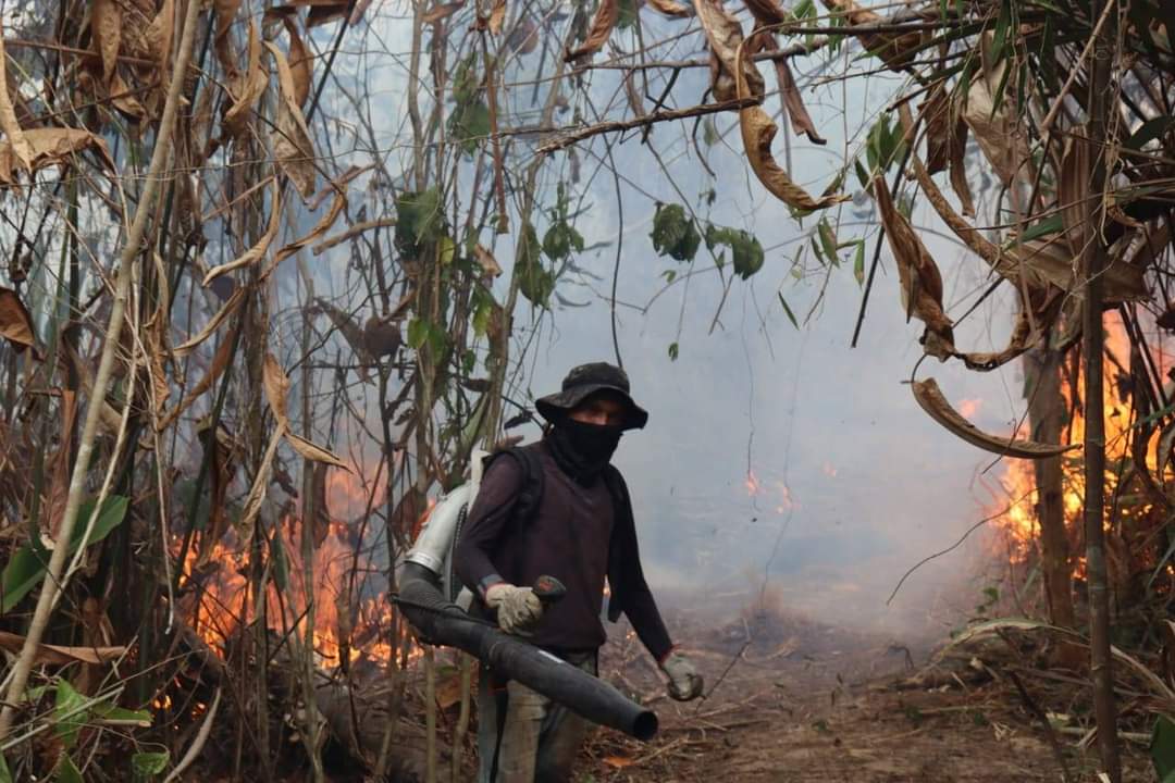 Incêndio em Terra Indígena Alto Turiaçu, no Maranhão, afeta mais de quatro mil indígenas