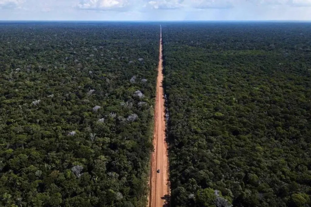 Vista aérea da rodovia federal da BR-319 (Divulgação/Dnit)