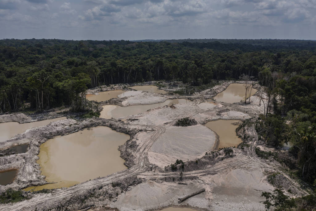 MPF apura projeto de crédito de carbono de Munduruku com empresa suspeita