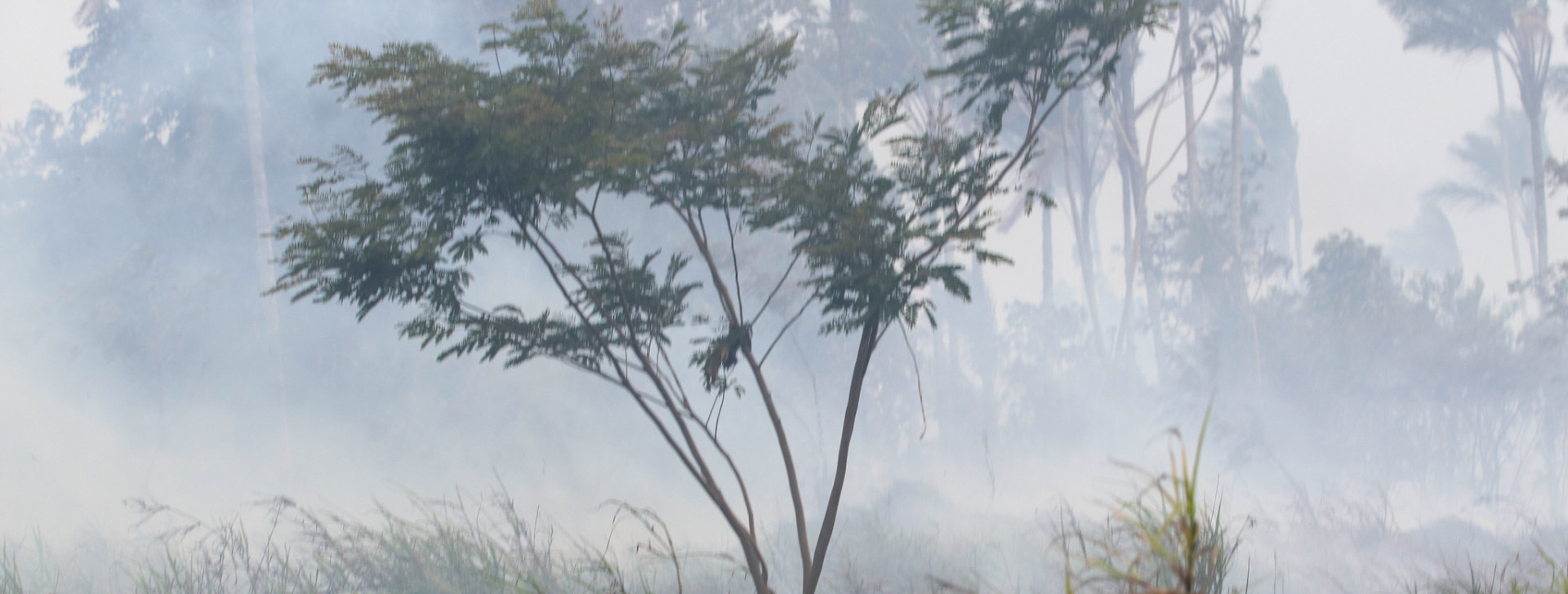 Diminuição das chuvas favoreceu volta da fumaça e novas queimadas no AM, aponta Ibama