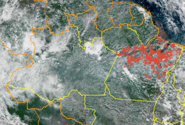 Pará tem 848 focos de queimadas nas últimas 48 horas e mantém fumaça sobre o Amazonas