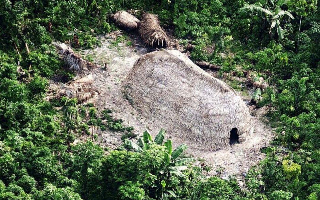 MPF reitera pedido de prorrogação de contratos a quem atua na proteção de povos indígenas isolados