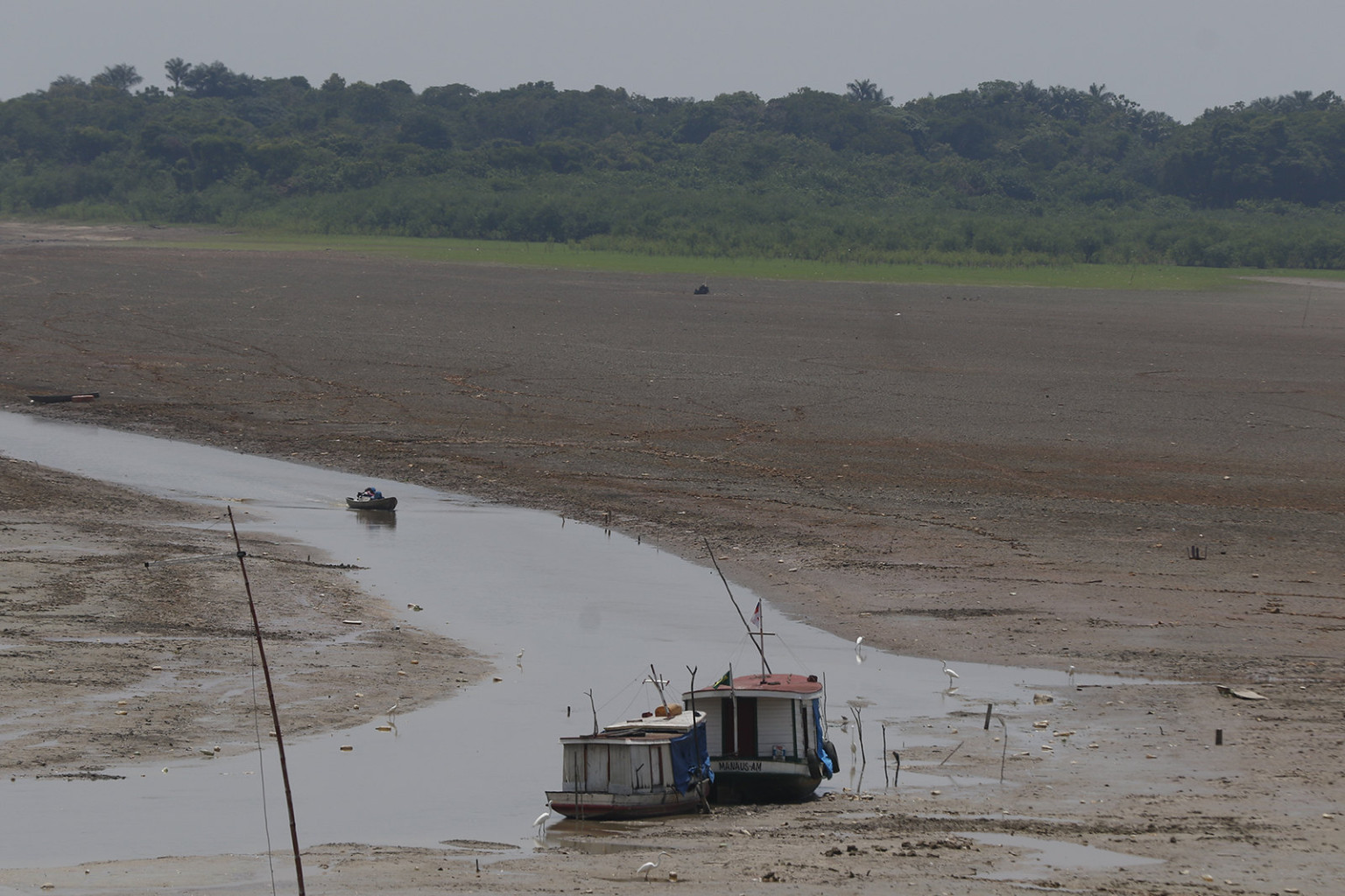 Saiba mais sobre a influência da ação humana nos extremos climáticos