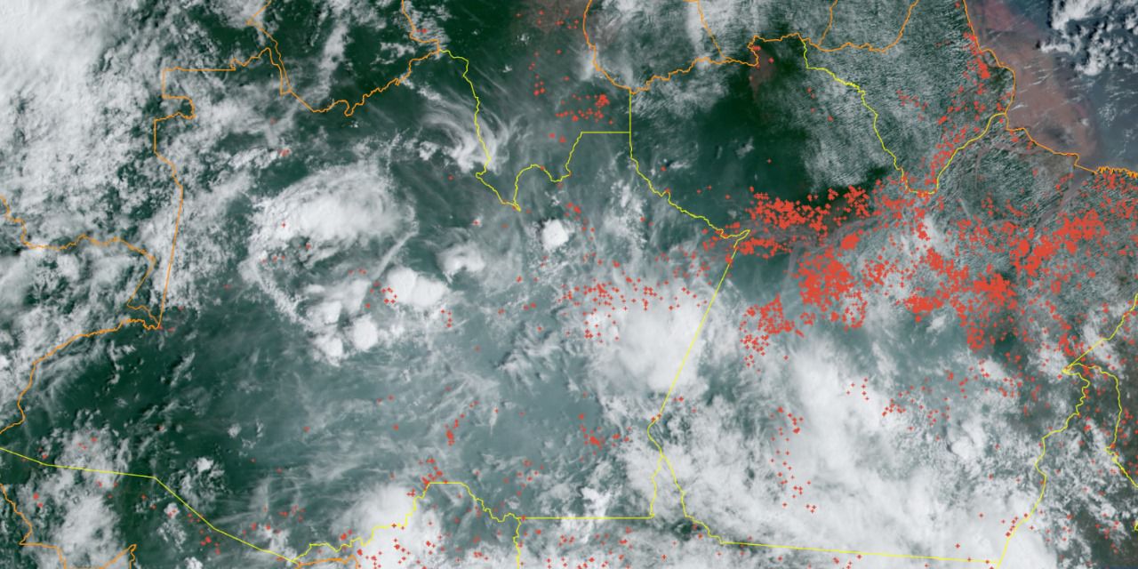 Imagens de satélite mostram avanço das queimadas no Pará (Divulgação)