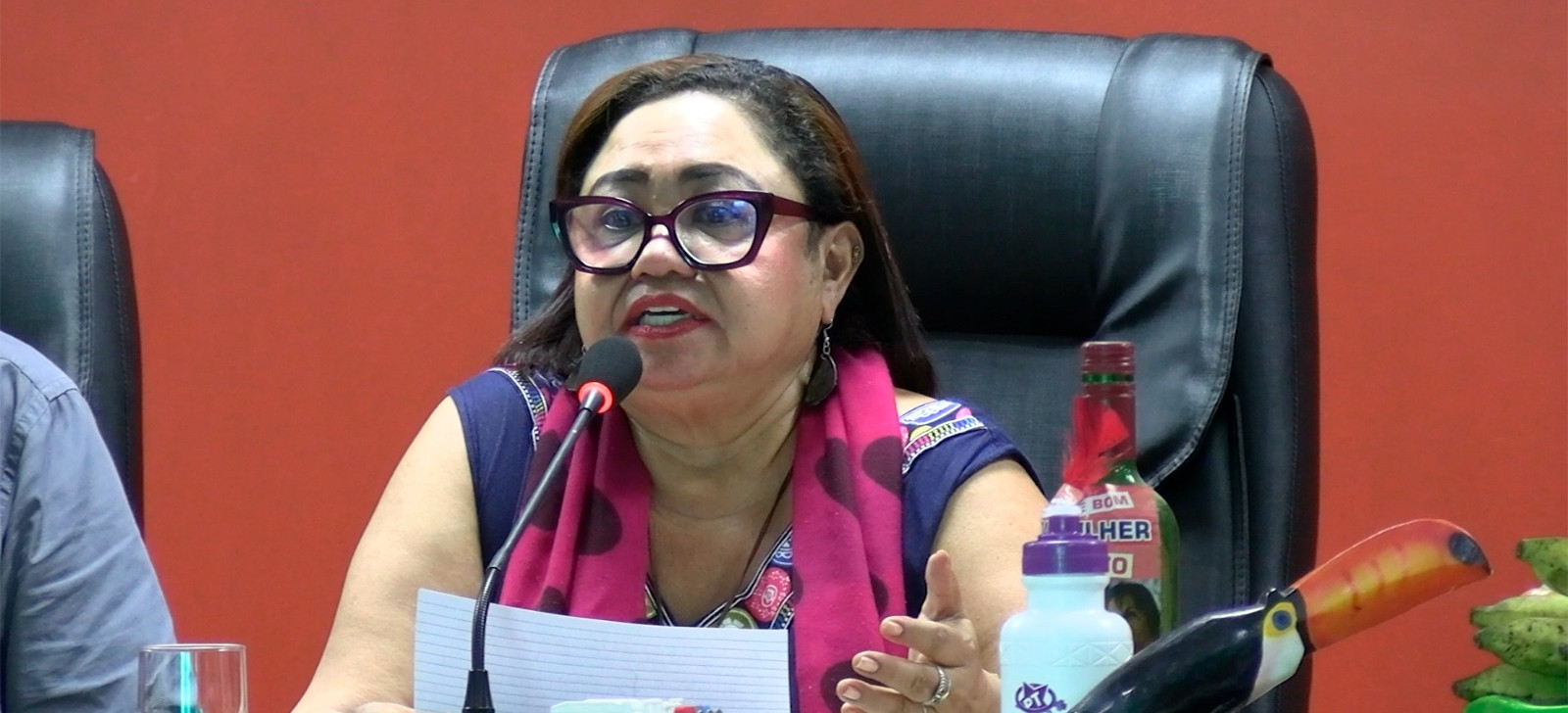 Mulheres do AM formam rede de apoio em 16 municípios contra violência doméstica