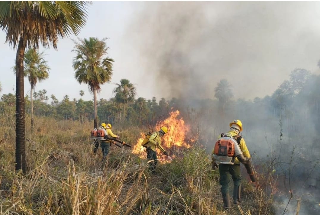 Em crise ambiental, Ibama e ICMBio aumentam número de efetivo no AM