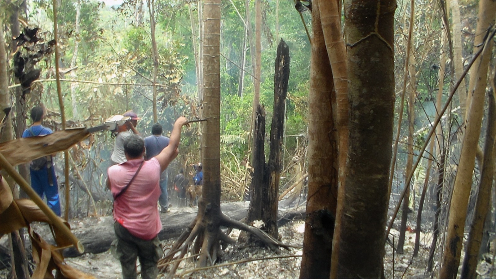 Autoridades são intimadas a expulsar invasores de terra indígena no interior do Amazonas