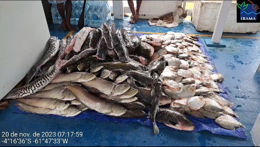 Ibama e Funai apreendem 380 quilos de pescado ilegal no Amazonas